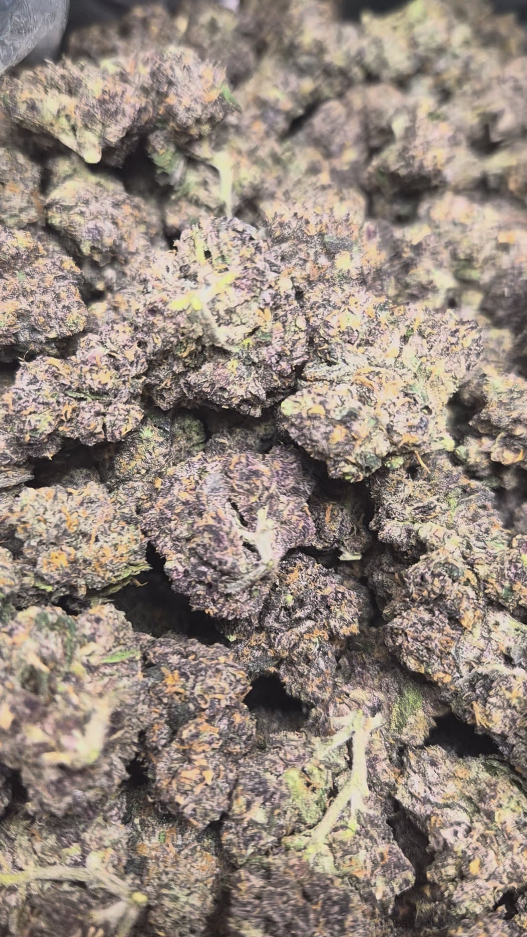 Crunch Berries THCA Flower – Indoor Exotic Indica | CaliGreenGold
