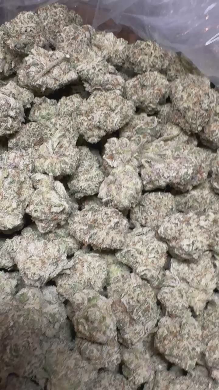 Bulk Runtz Exotic Indoor Flower Hybrid