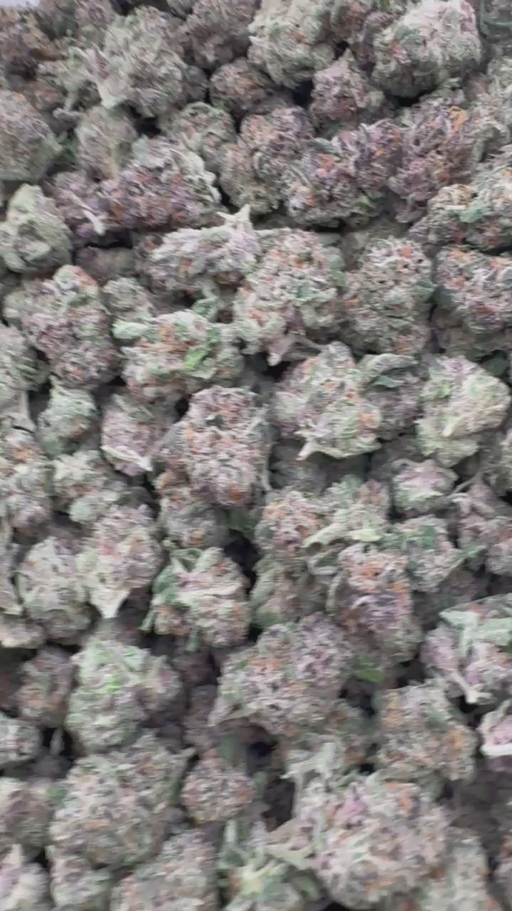Trop Cherry_exotic_smalls.mp4