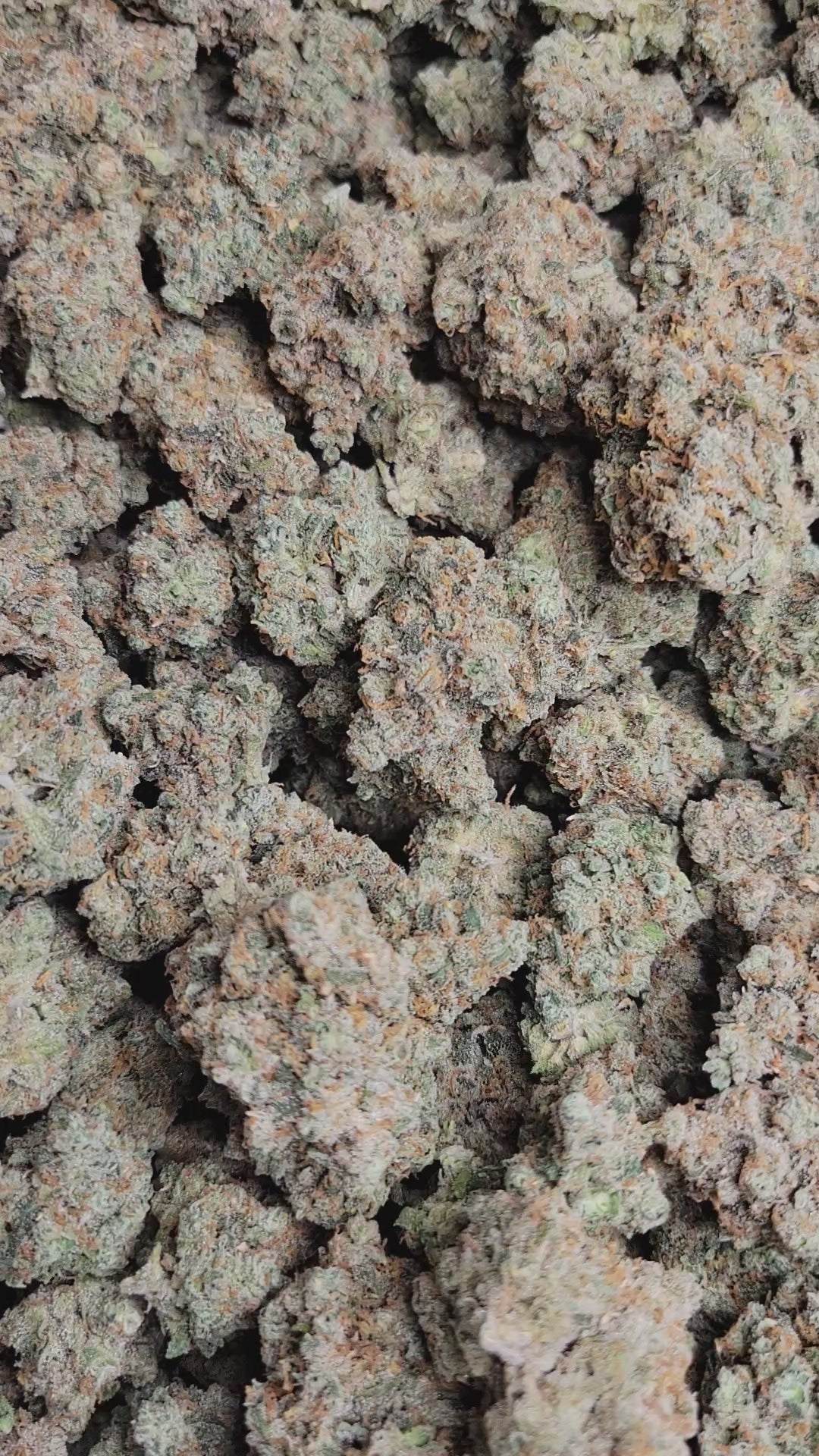 Durban Poison Exotic Indoor THCA Flower Sativa