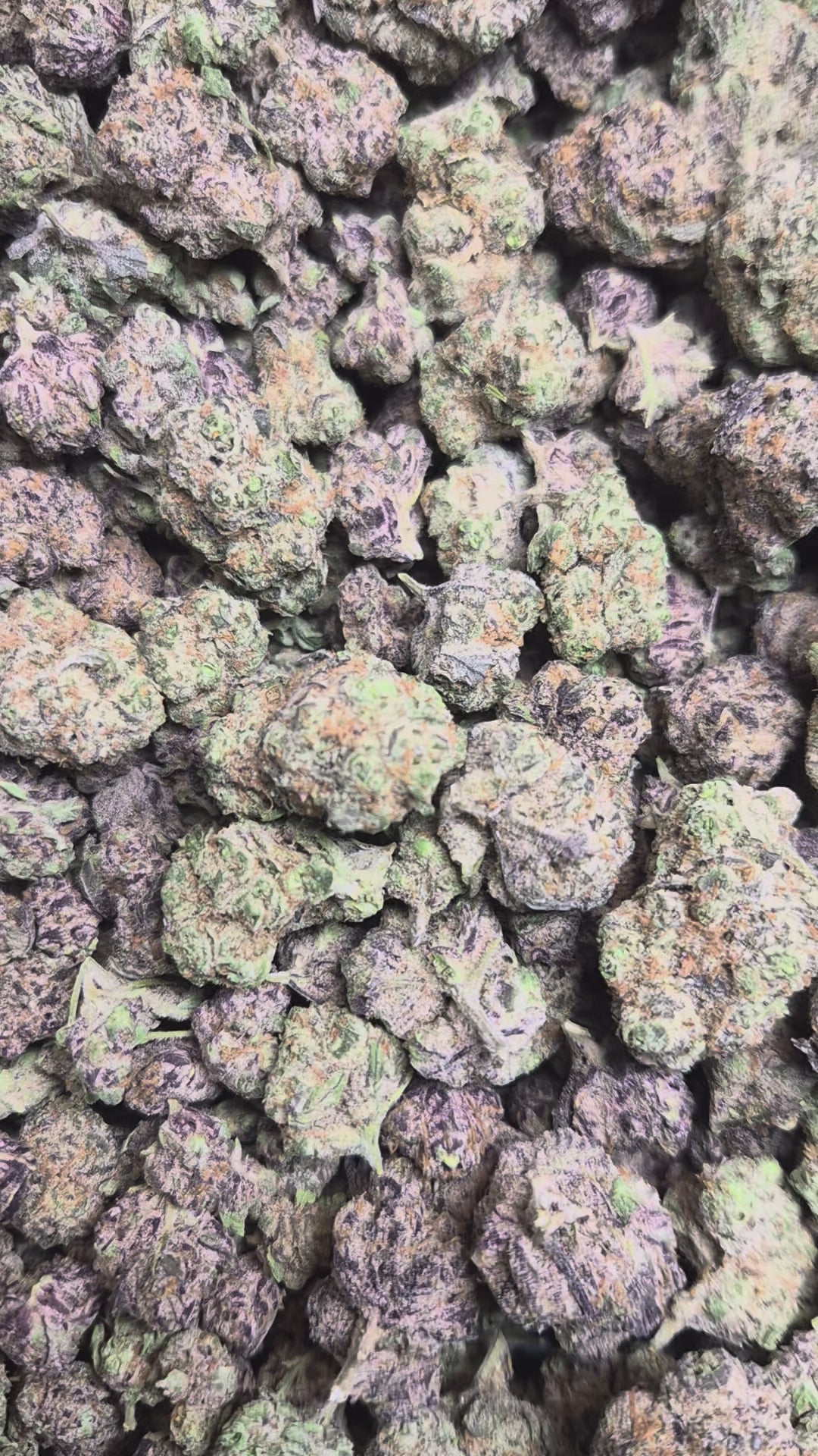 Blueberry Pancakes High THCA Flower Indica