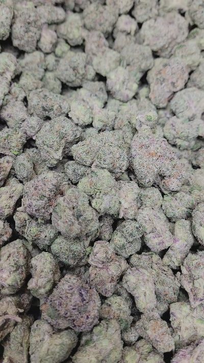 Brooklyn Runtz Exotic Indoor THCA Flower Hybrid