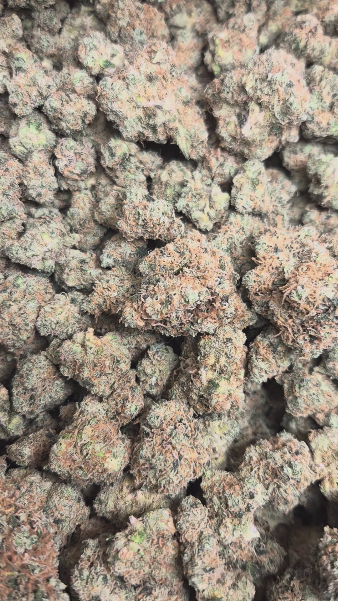 Lemon Lime Sour Exotic Indoor THCA Flower Sativa