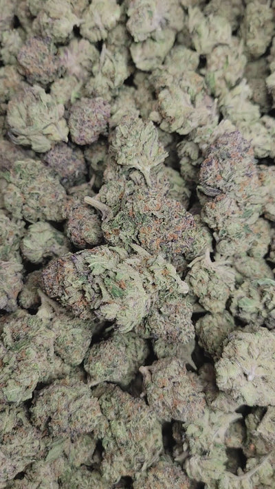 Bangkok Purple High THCA Flower Sativa