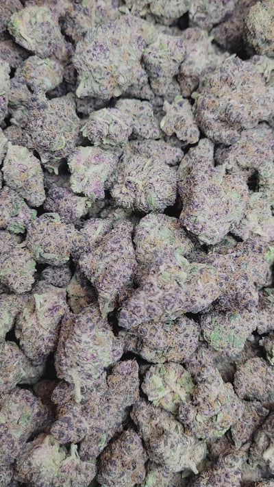 Tropicana Cherry Exotic Flower Sativa