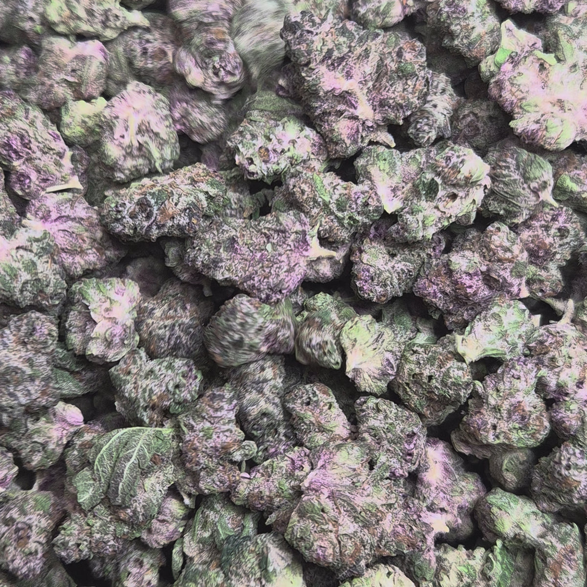 THCA Flower Mystery SMALLS – Indoor Exotic Sativa | CaliGreenGold