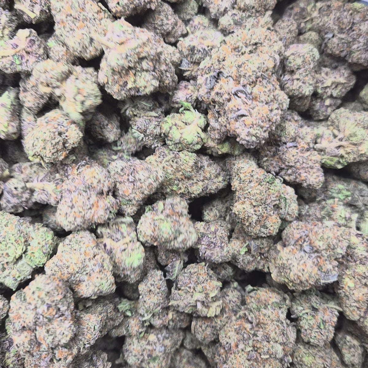 El Chemino THCA Flower – Sativa · Indoor Exotic | CaliGreenGold