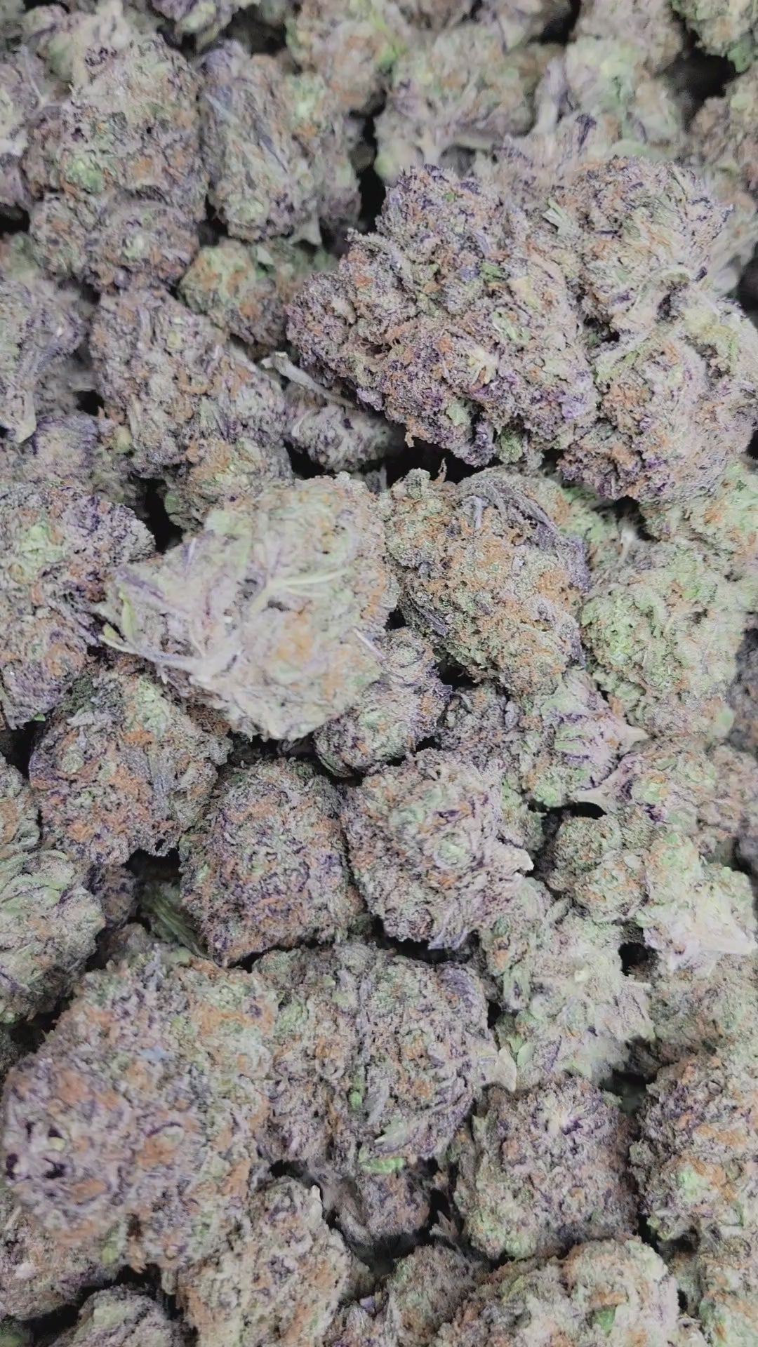 Purple Raine THCA Flower – Indica · Indoor Top Shelf