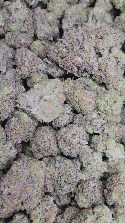 Purple Raine THCA Flower – Indica · Indoor Top Shelf