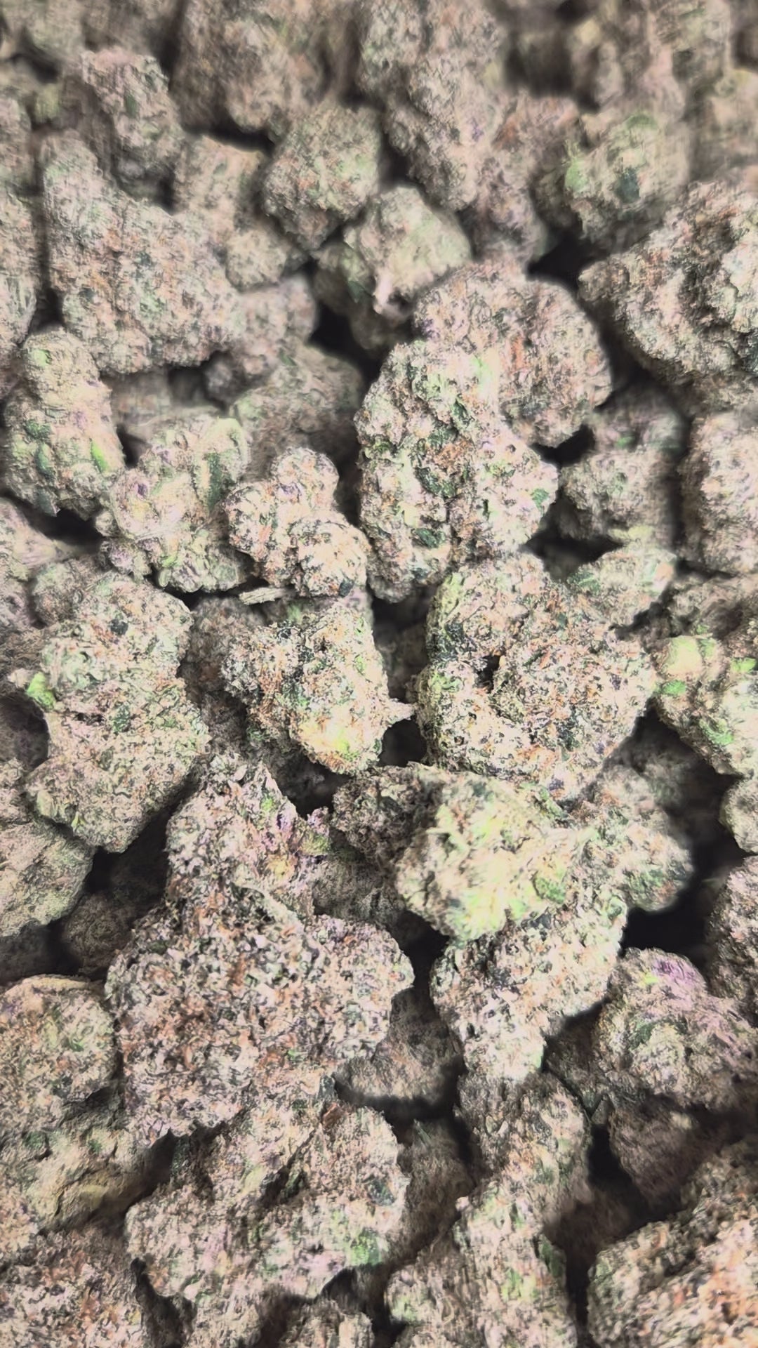 Pink Runtz Exotic Indoor THCA Flower Hybrid