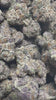 Candy Gas High THCA Flower Hybrid