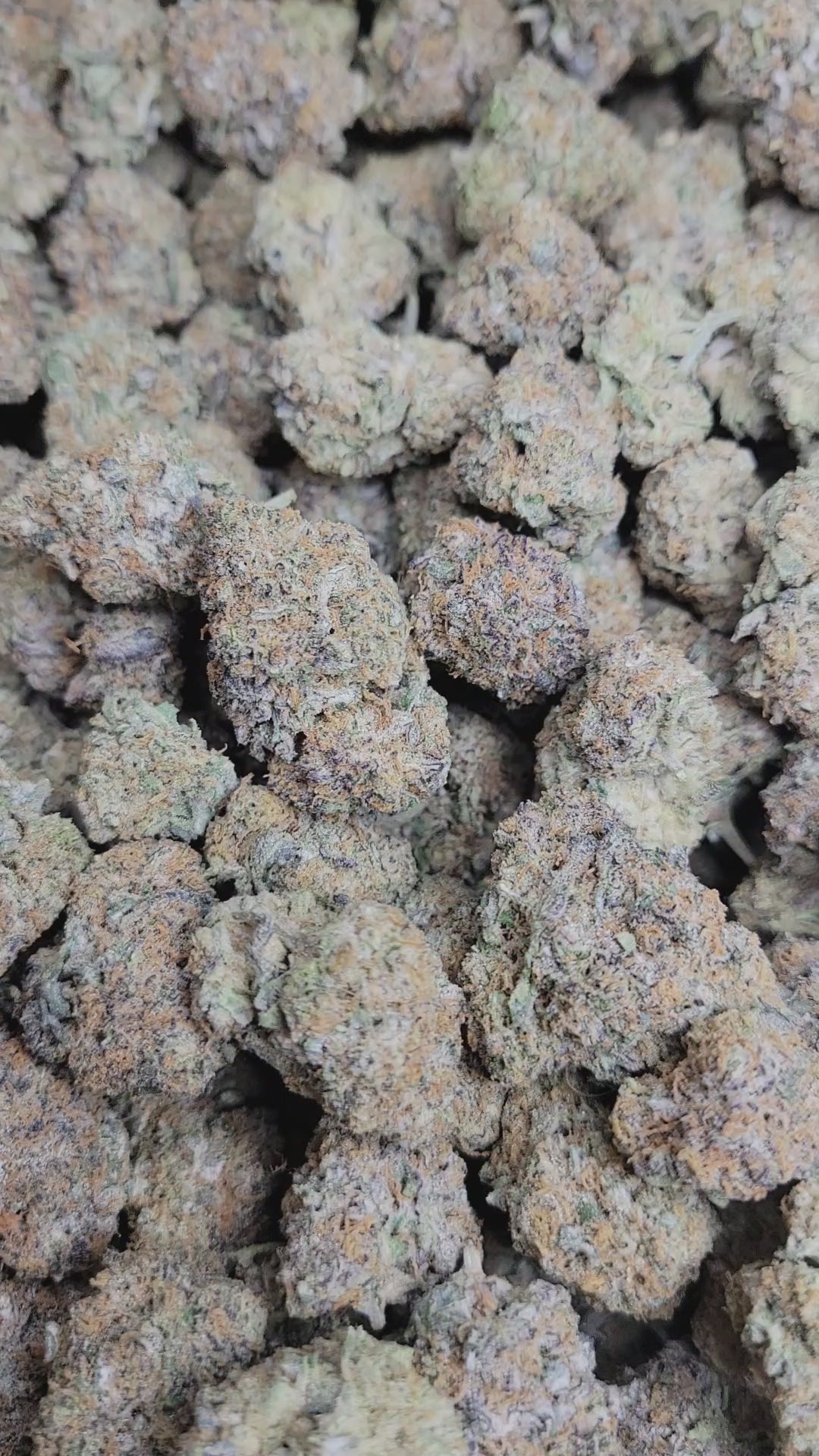 Applescotti Exotic Indoor THCA Flower Hybrid