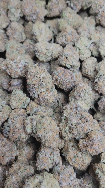 Applescotti Exotic Indoor THCA Flower Hybrid