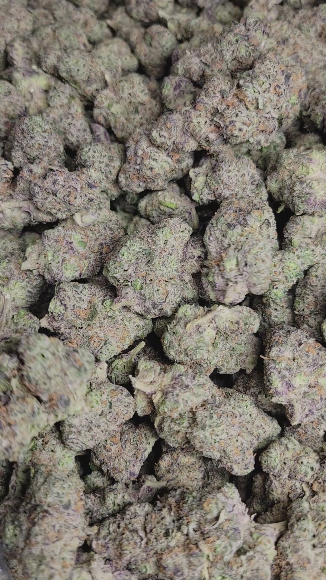 Mule Fuel Exotic Indoor THCA Flower Indica