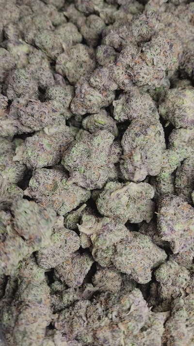 Mule Fuel Exotic Indoor THCA Flower Indica