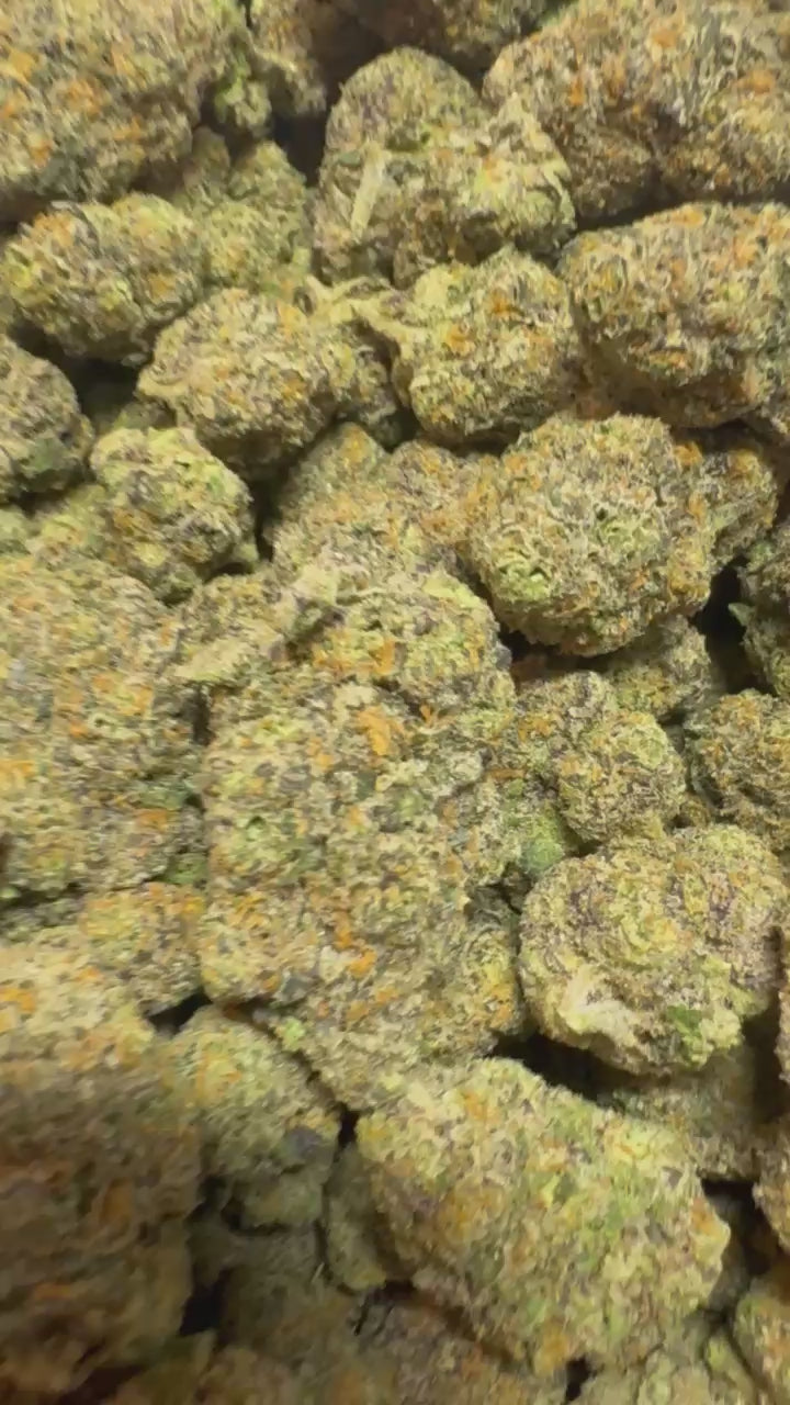 Bulk Exotic Permanent Marker Indoor Flower Hybrid