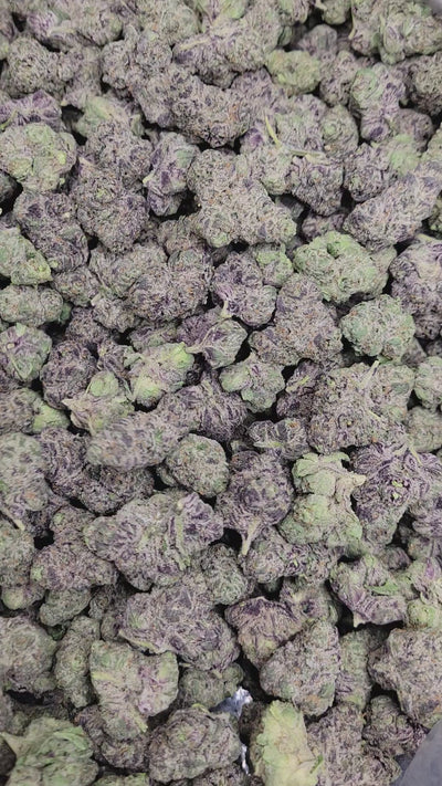 Candy Gelato Exotic Indoor THCA Flower Hybrid