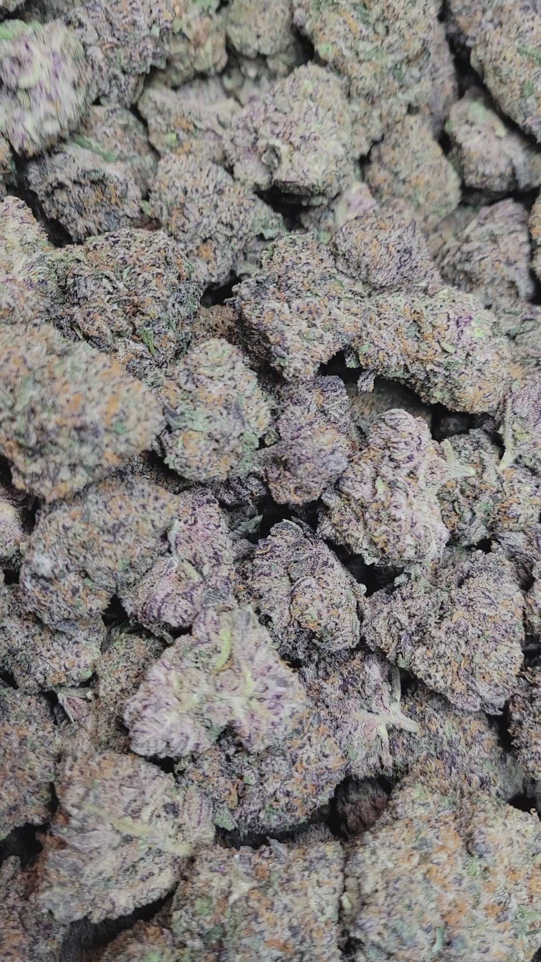 Runtz Exotic Indoor THCA Flower Hybrid