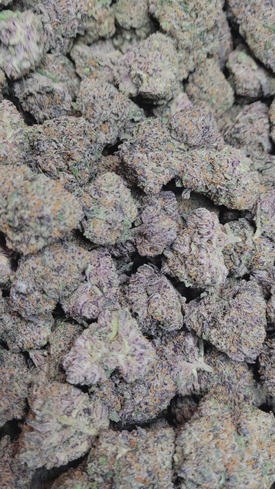 Runtz Exotic Indoor THCA Flower Hybrid