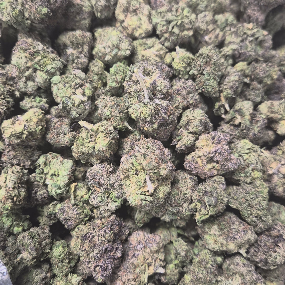 Candy Runtz THCA Flower – Hybrid · Indoor Top Shelf
