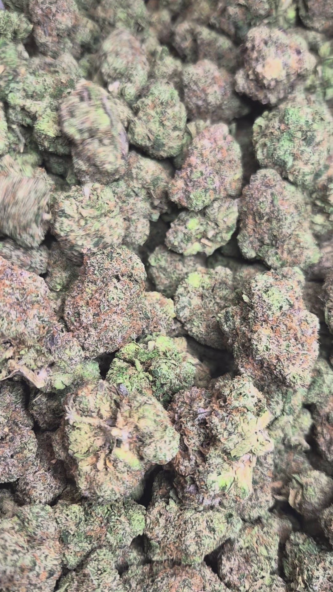 Pink Runtz High THCA Flower Hybrid