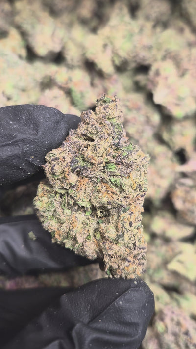 Green Crack High THCA Flower Sativa