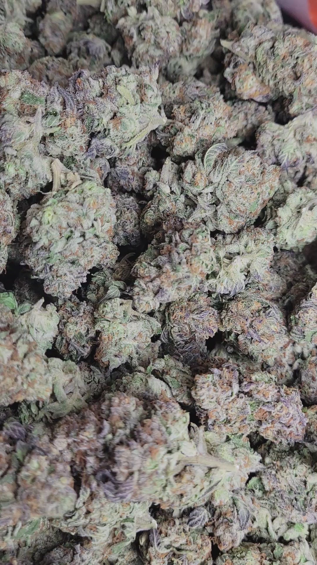 Garlic Cocktail High THCA Flower Indica