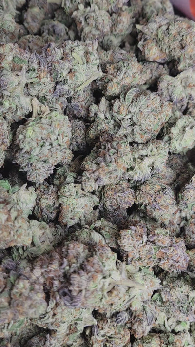 Garlic Cocktail High THCA Flower Indica