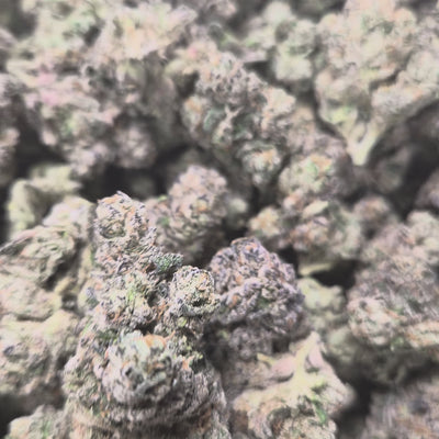 LA Pop Rocks THCA Flower – Indica · Indoor Exotic | CaliGreenGold