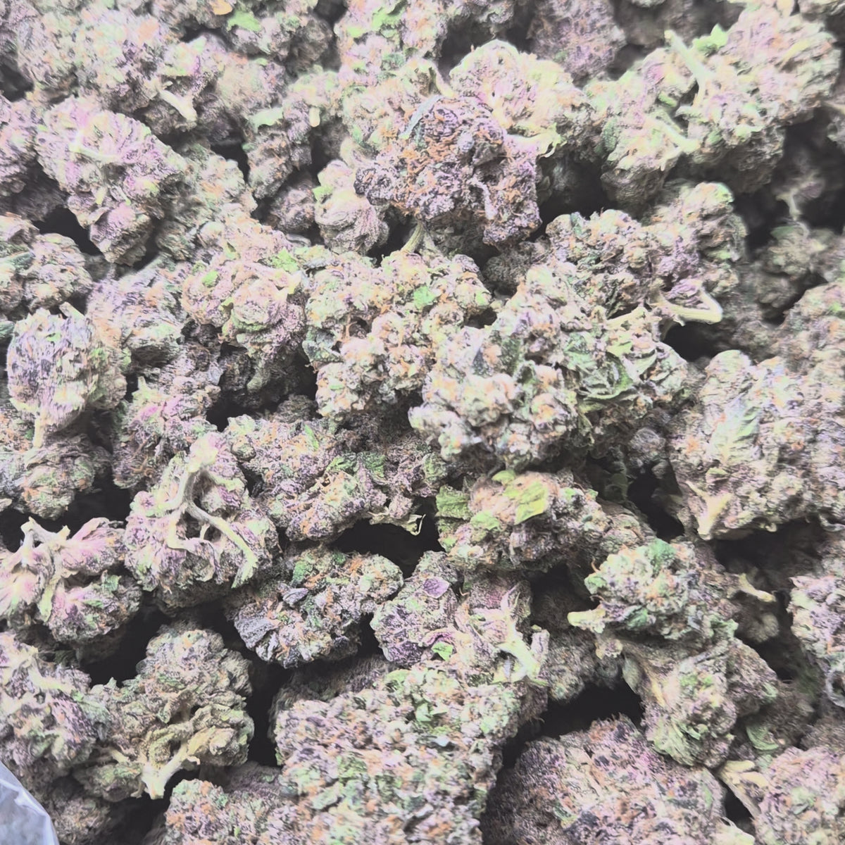 Candy Gas THCA Flower – Hybrid · Indoor Exotic