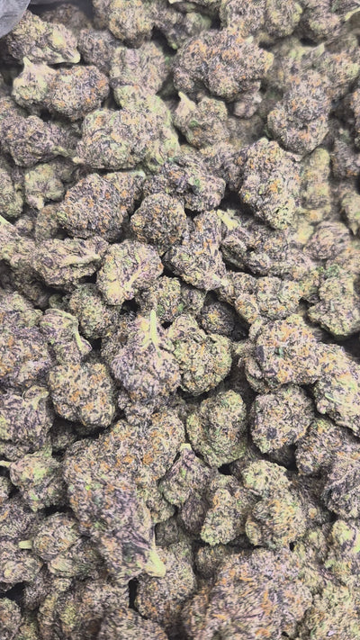 Rainbow Sherbert 11 Exotic Indoor THCA Flower Indica