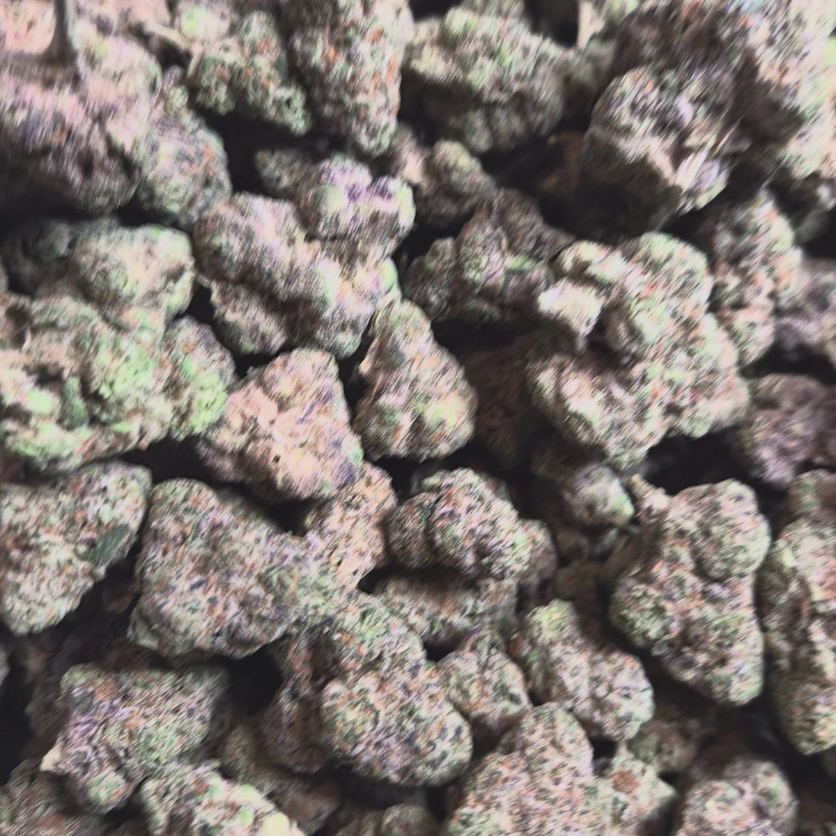 Cadillac Rainbow THCA Flower – Indoor Exotic Indica | CaliGreenGold