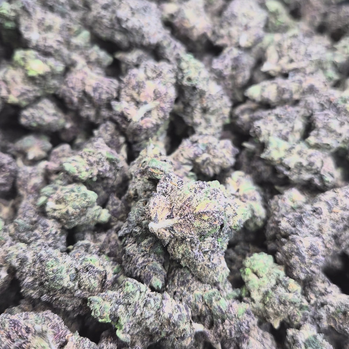 MOB Runtz THCA Flower – Hybrid · Indoor Exotic