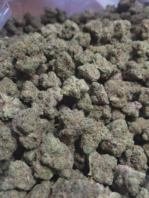 Lemon Tree Exotic Indoor THCA Flower Sativa