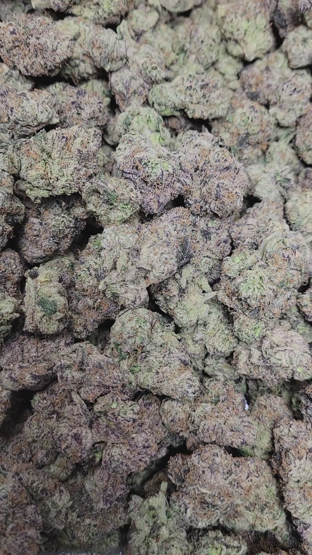 Bubblegum Runtz Exotic Indoor THCA Flower Hybrid