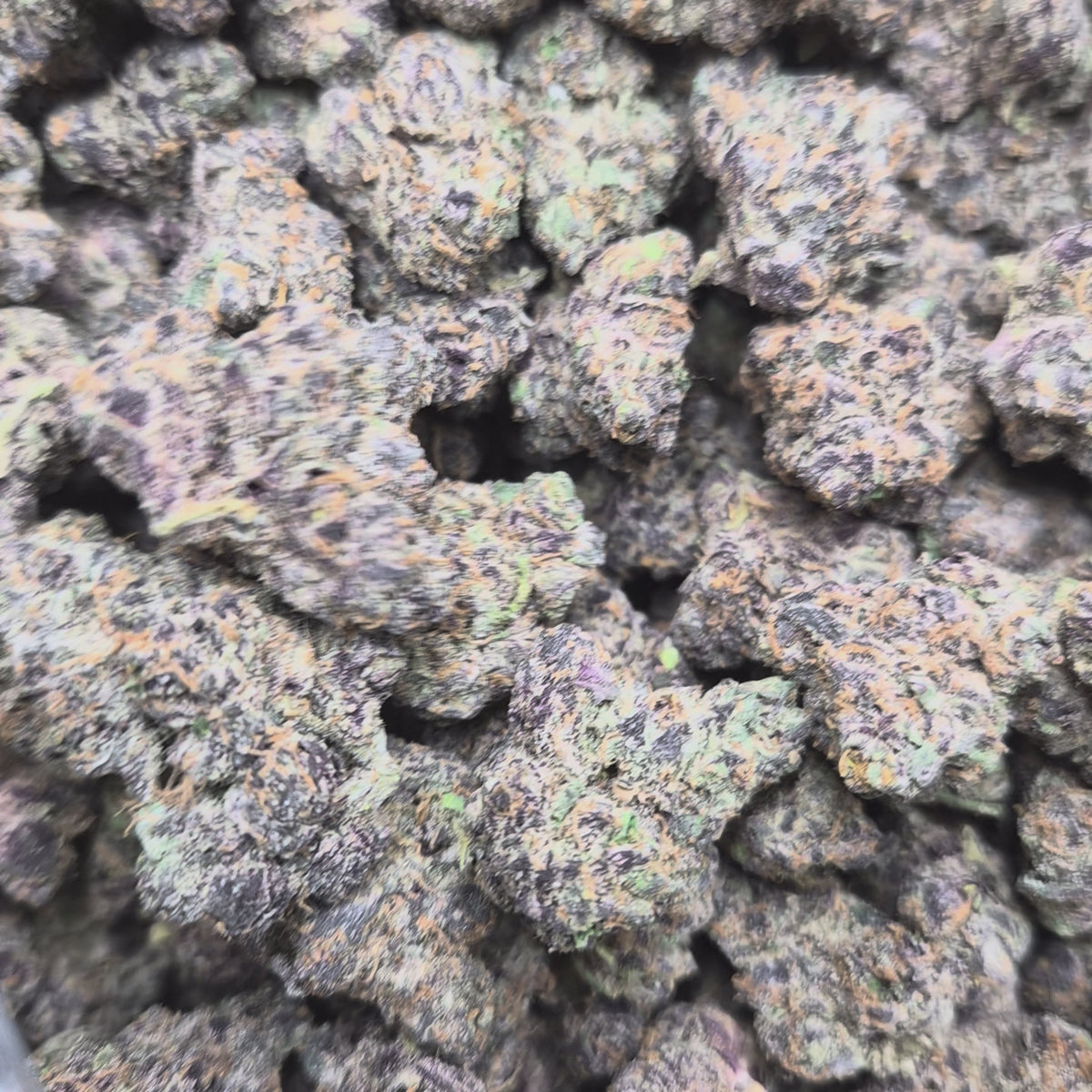 Gazzurple THCA Flower – Sativa · Indoor Exotic | CaliGreenGold