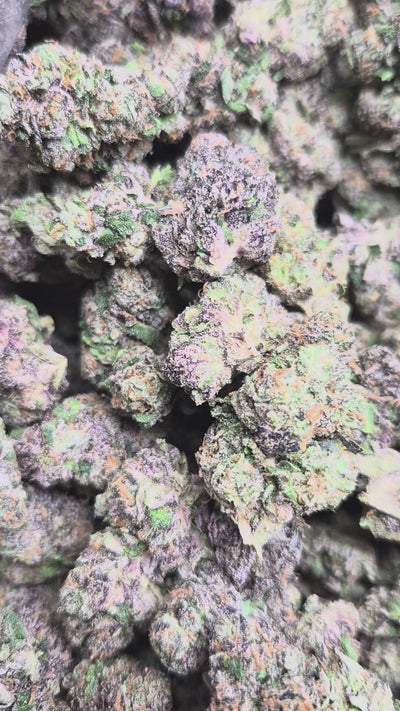 Candy Cartel THCA Flower – Indoor Hybrid Exotic | CaliGreenGold