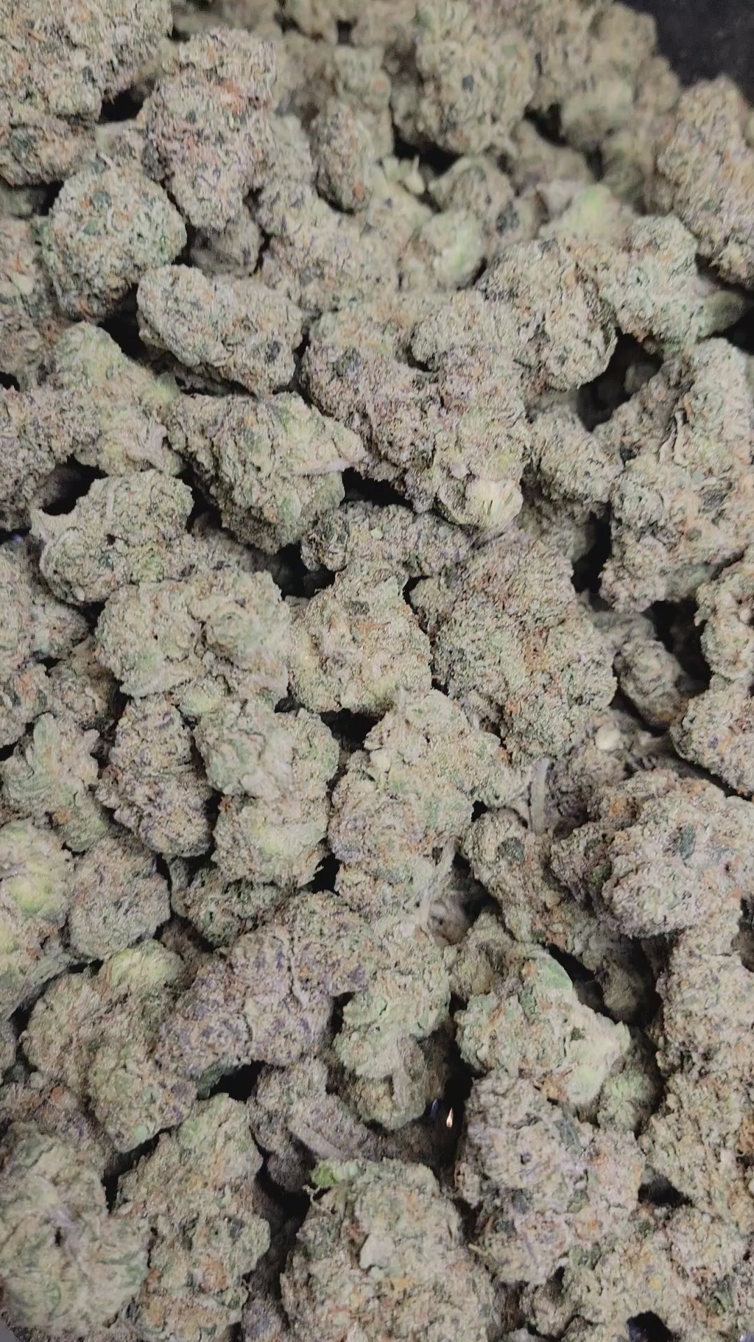 Sunset Sherbert High THCA Flower Indica