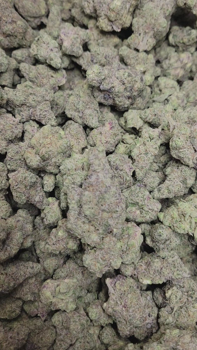 Gush Mintz Exotic Indoor THCA Flower Indica