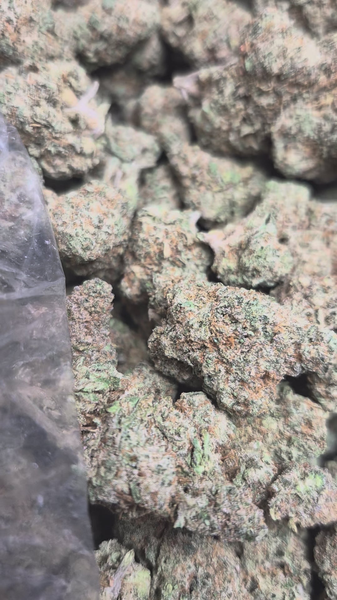 Banana OG THCA Flower – Indoor Indica | CaliGreenGold