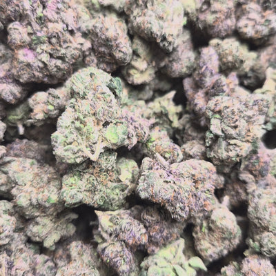 Bubblegum Runtz Exotic Indoor THCA Flower Hybrid