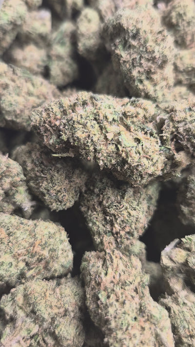 Garlic Budder High THCA Flower Indica