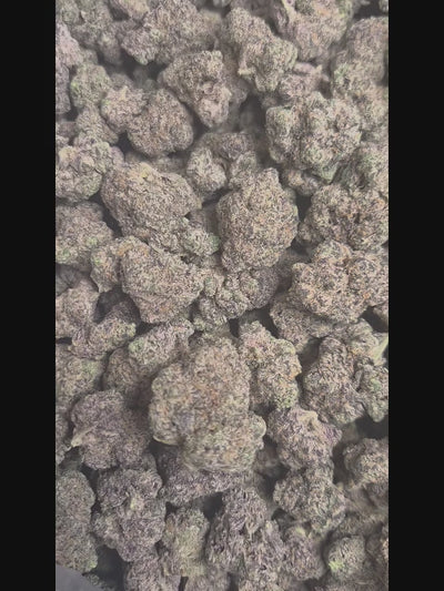 Jungle Juice High THCA Flower Hybrid