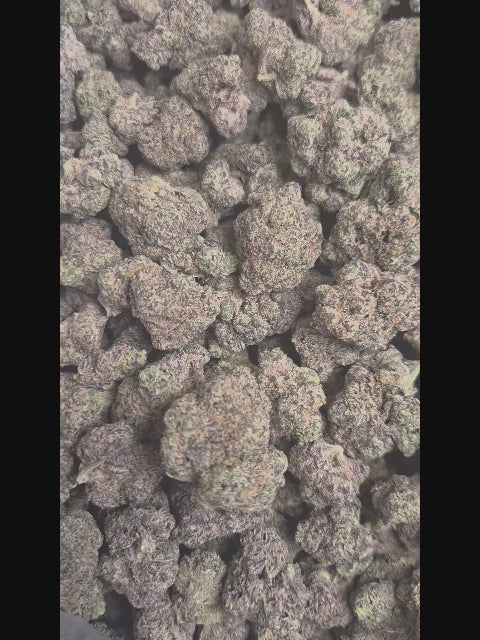 Jungle Juice High THCA Flower Hybrid