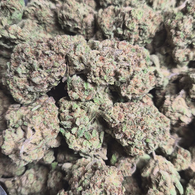 Glitter Bomb THCA Flower – Indoor Top Shelf Indica | CaliGreenGold