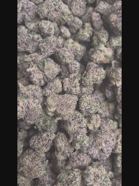 Mango Runtz Exotic Indoor THCA Flower Indica