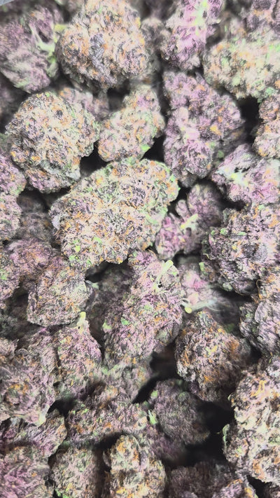 Bulk Tropicana Cherry High THCA Flower Sativa