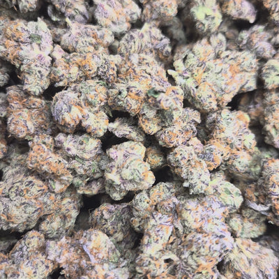 Blueberry Pie Exotic Indoor THCA Flower Hybrid