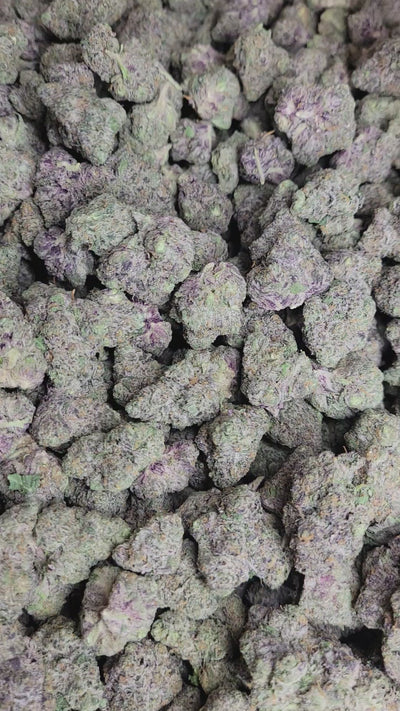 Double Runtz High THCA Flower Hybrid