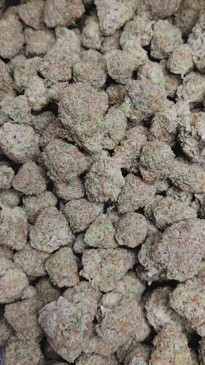 Purple Punch High THCA Flower Indica